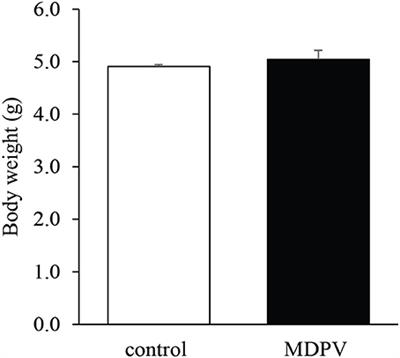 Gestational Exposure to the Synthetic Cathinone Methylenedioxypyrovalerone Results in Reduced Maternal Care and Behavioral Alterations in Mouse Pups